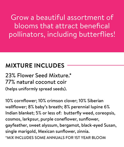 Burpee sunlit wildflower garden invites pollinators throughout the season.