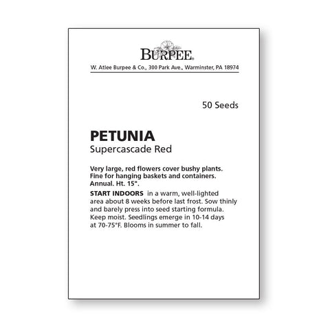Burpee Supercascade Red Petunia close-up of petals highlighting large blooms for dramatic garden color.