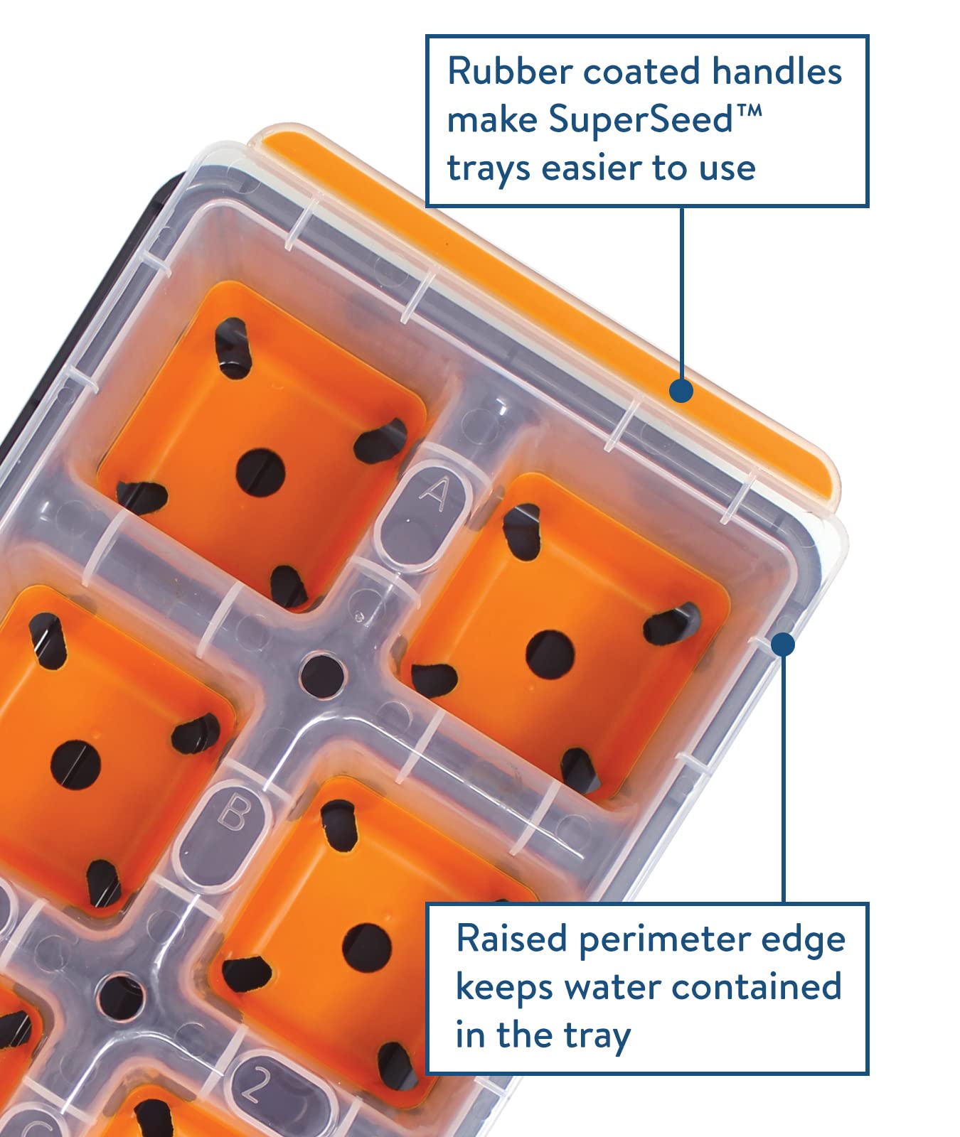 Close-up of Burpee SuperSeed silicone cells cradling seedlings