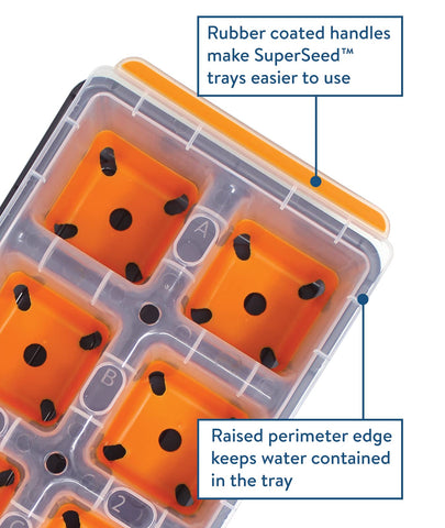 Close-up of Burpee SuperSeed silicone cells cradling seedlings