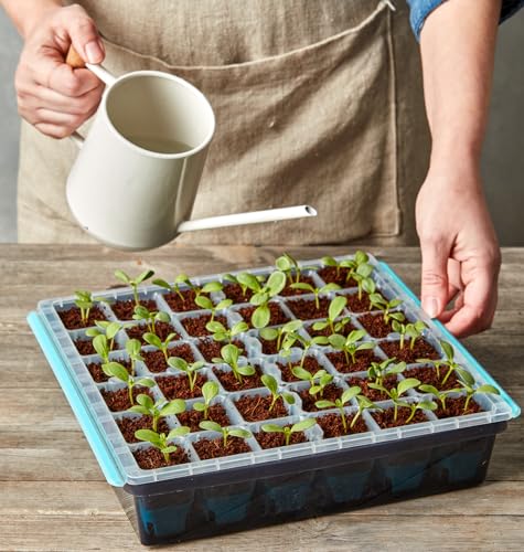 Burpee SuperSeed alphanumeric rows simplify seedling identification