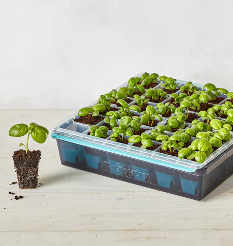 Burpee SuperSeed raised-edge tray keeps moisture contained with fewer spills