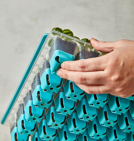 Burpee SuperSeed side handles make daily checks and water removal easy