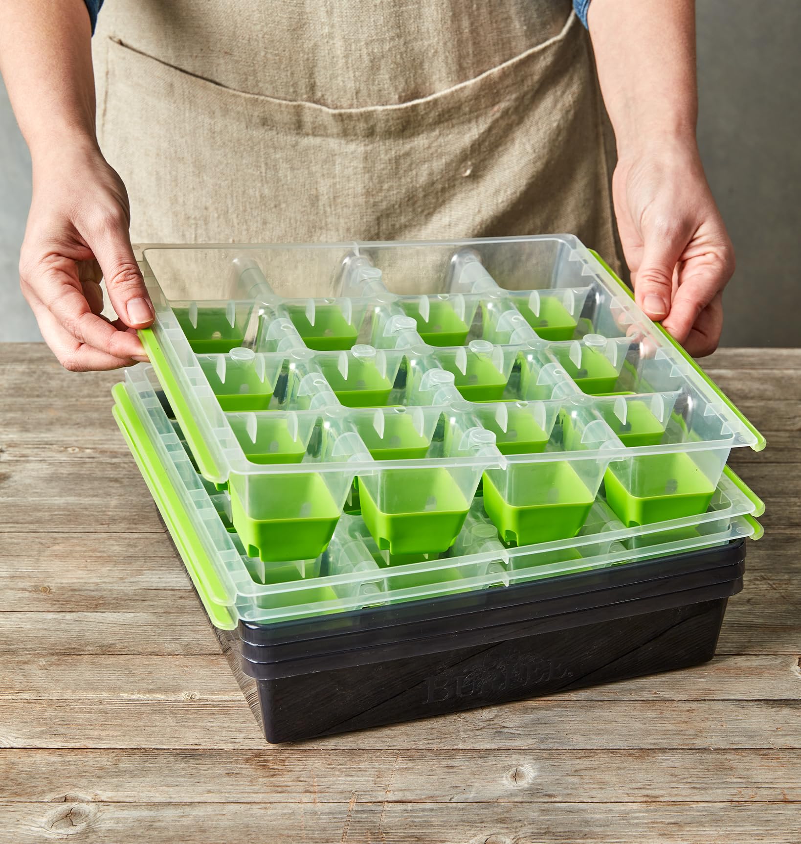 Burpee SuperSeed tray alphanumeric labels organize seedlings at a glance