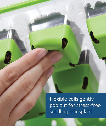 Burpee SuperSeed tray with soft silicone cells cradling seedlings for gentle transplant