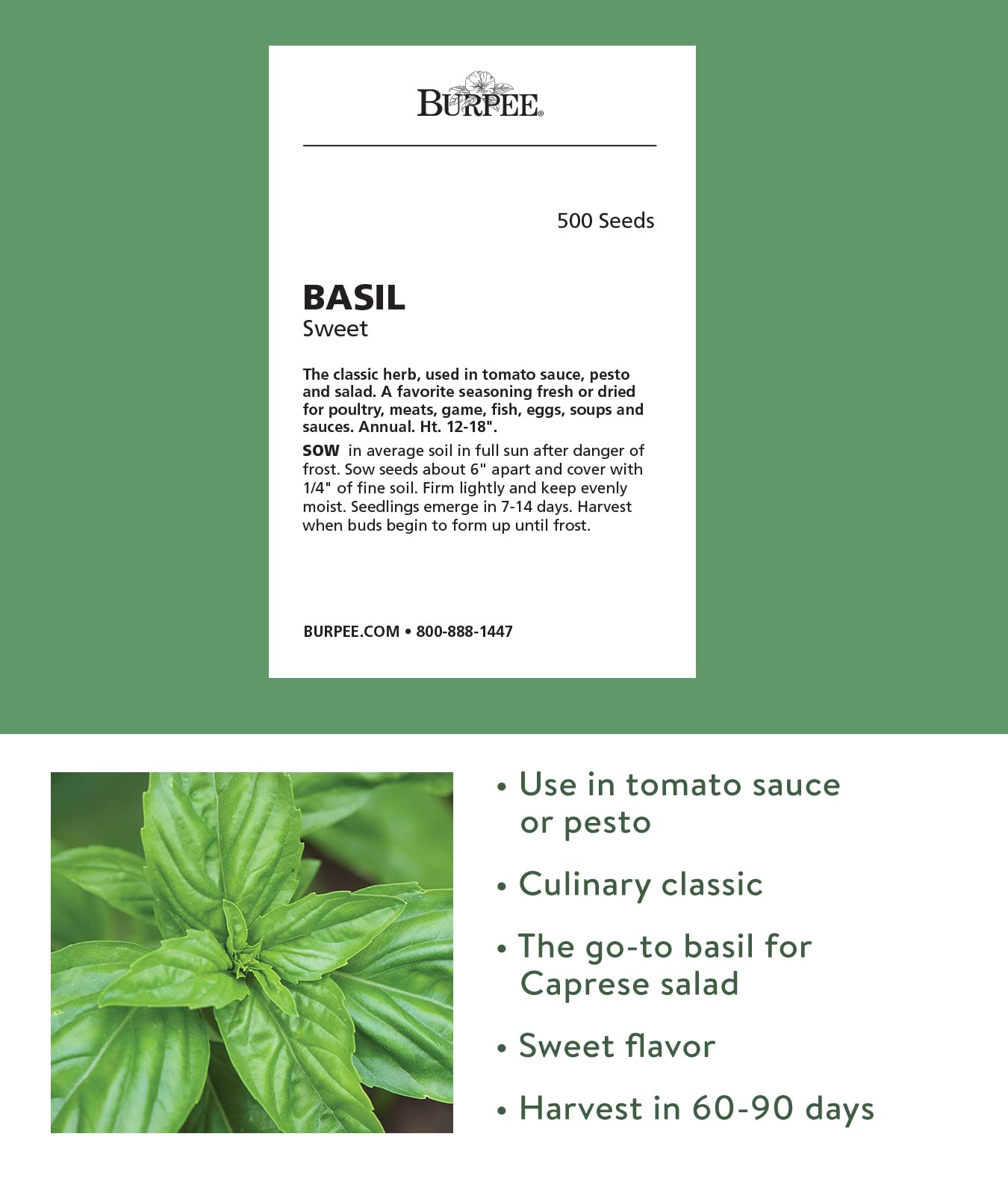 Burpee Sweet Basil seed packet close-up with high quality non-GMO seeds