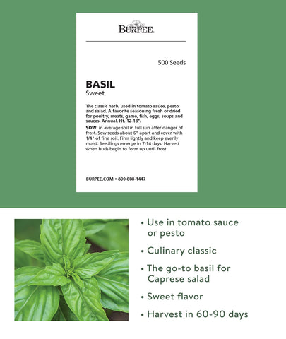 Burpee Sweet Basil seed packet close-up with high quality non-GMO seeds