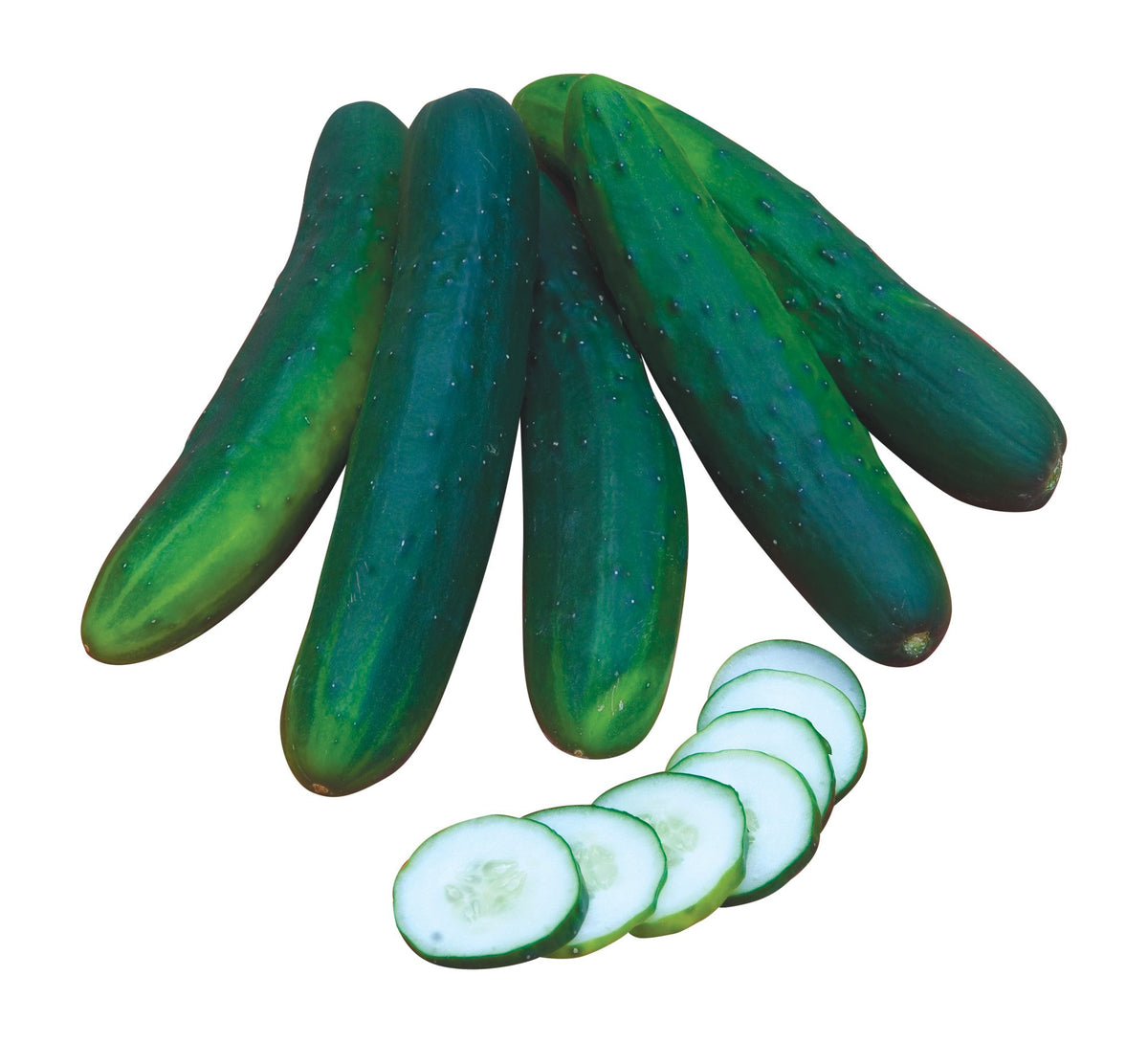 Burpee Sweet Burpless cucumber seeds in packet ready for planting for crisp homegrown slicing cucumbers.