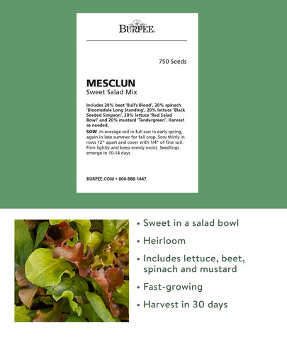 Burpee Sweet Salad Mix offers Bloomsdale spinach for tender greens.