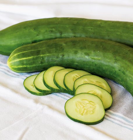 Close-up of Burpee Sweet Success cucumber fruit, dark-green and 12 inches long.