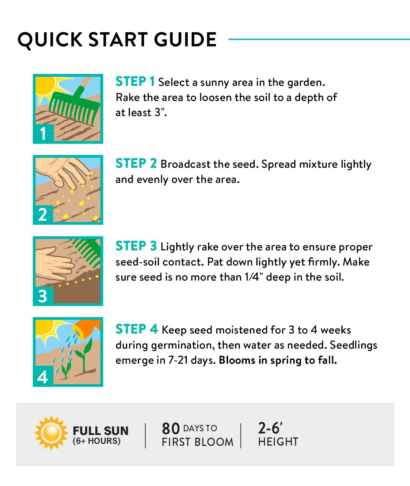 Burpee mix provides spring, summer, and fall color in one seed mix.