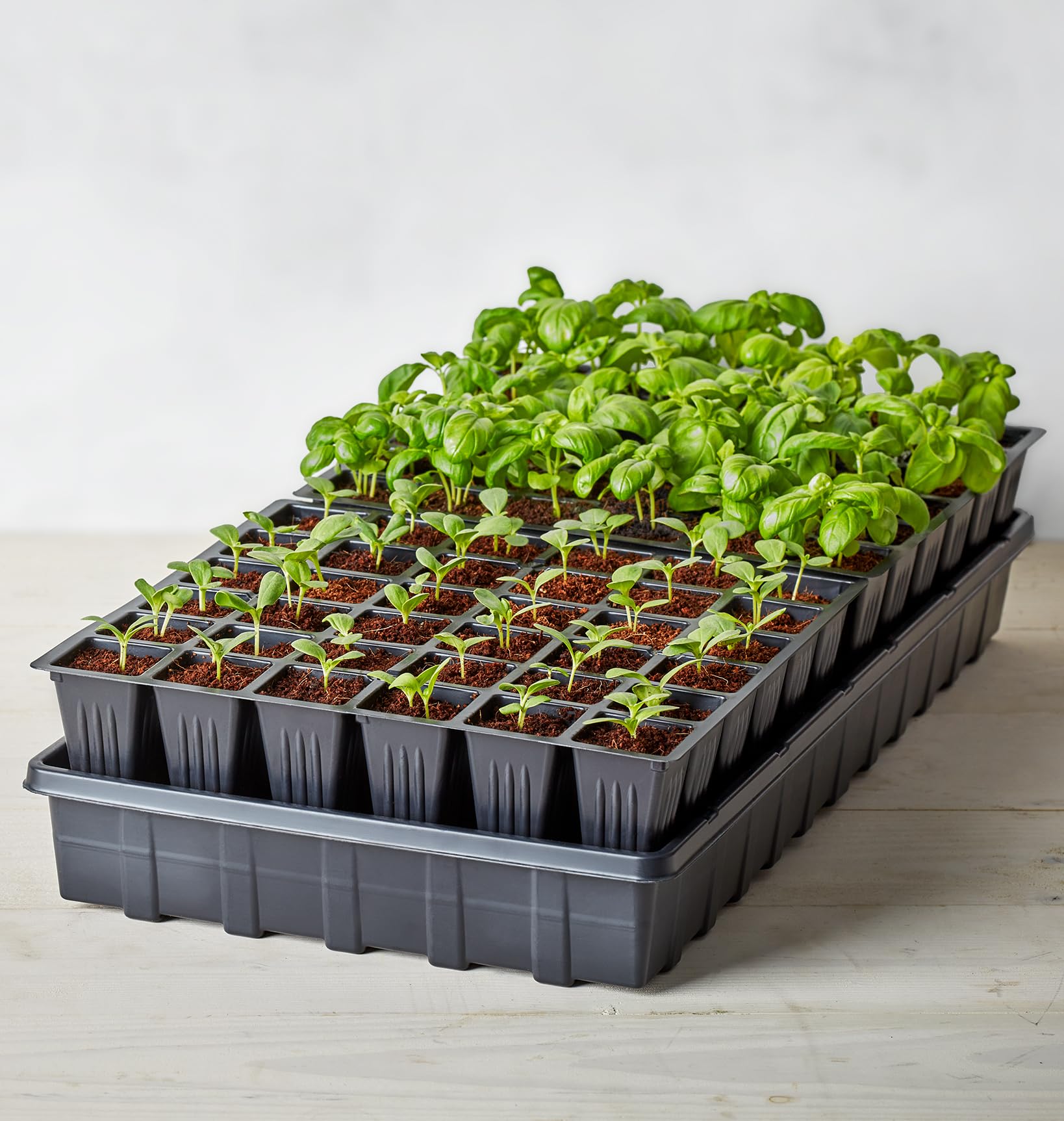 Burpee two-trays setup with stands and diagrams for organized sowing