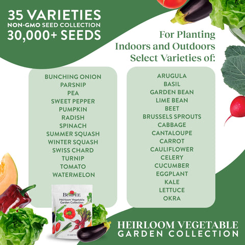 Burpee variety-pack seed packets spread on table highlighting 35 types for seasons