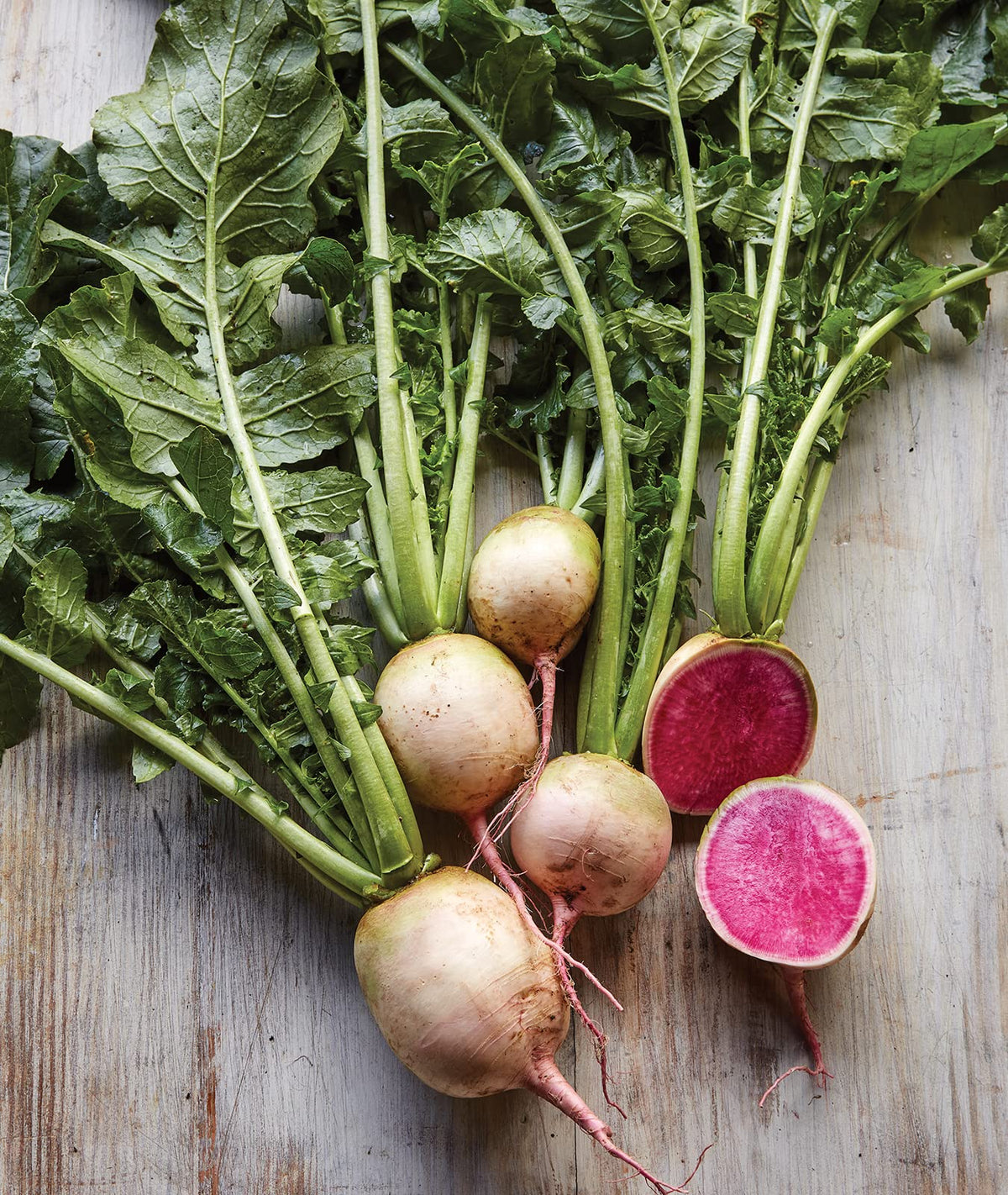 Burpee Watermelon Radish seeds packet front view for reliable germination in home gardens
