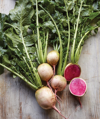Burpee Watermelon Radish seeds packet front view for reliable germination in home gardens