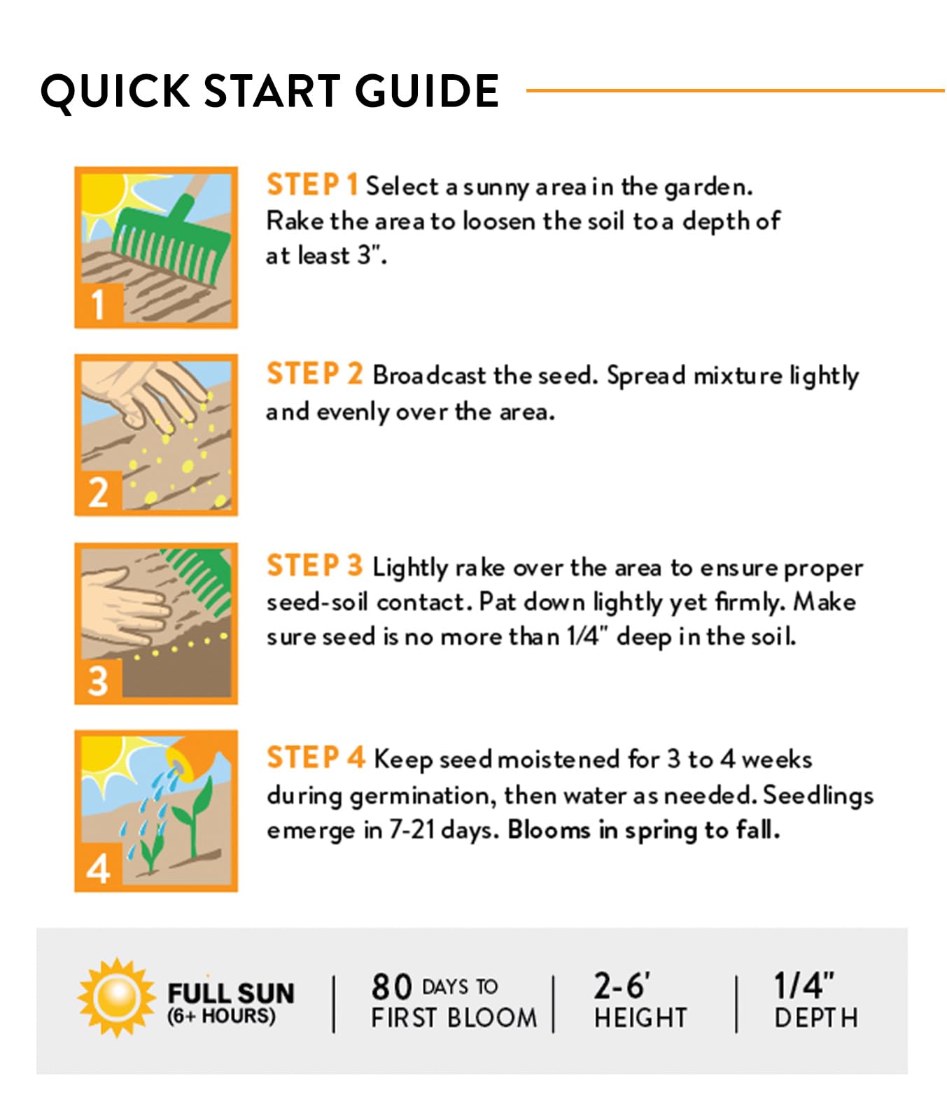 Burpee Wildflower easy-to-grow seeds support a low-maintenance garden.