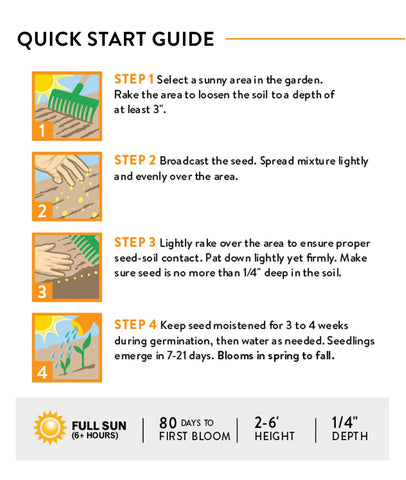 Burpee Wildflower easy-to-grow seeds support a low-maintenance garden.