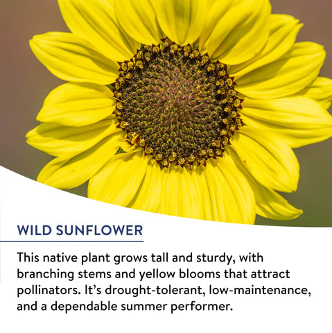 Burpee Wildflower seed coir-enhanced mix for easy, even distribution and germination.