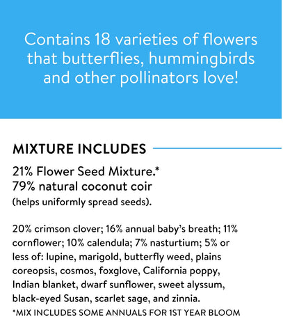 Burpee Wildflower blooms from spring through fall with seasonal color.