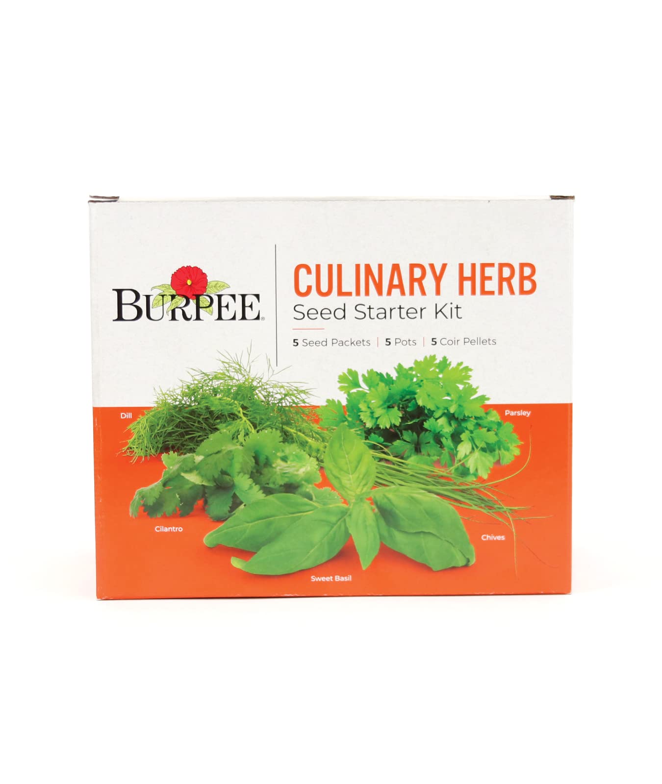 Burpee windowsill herb garden setup ideal for beginners