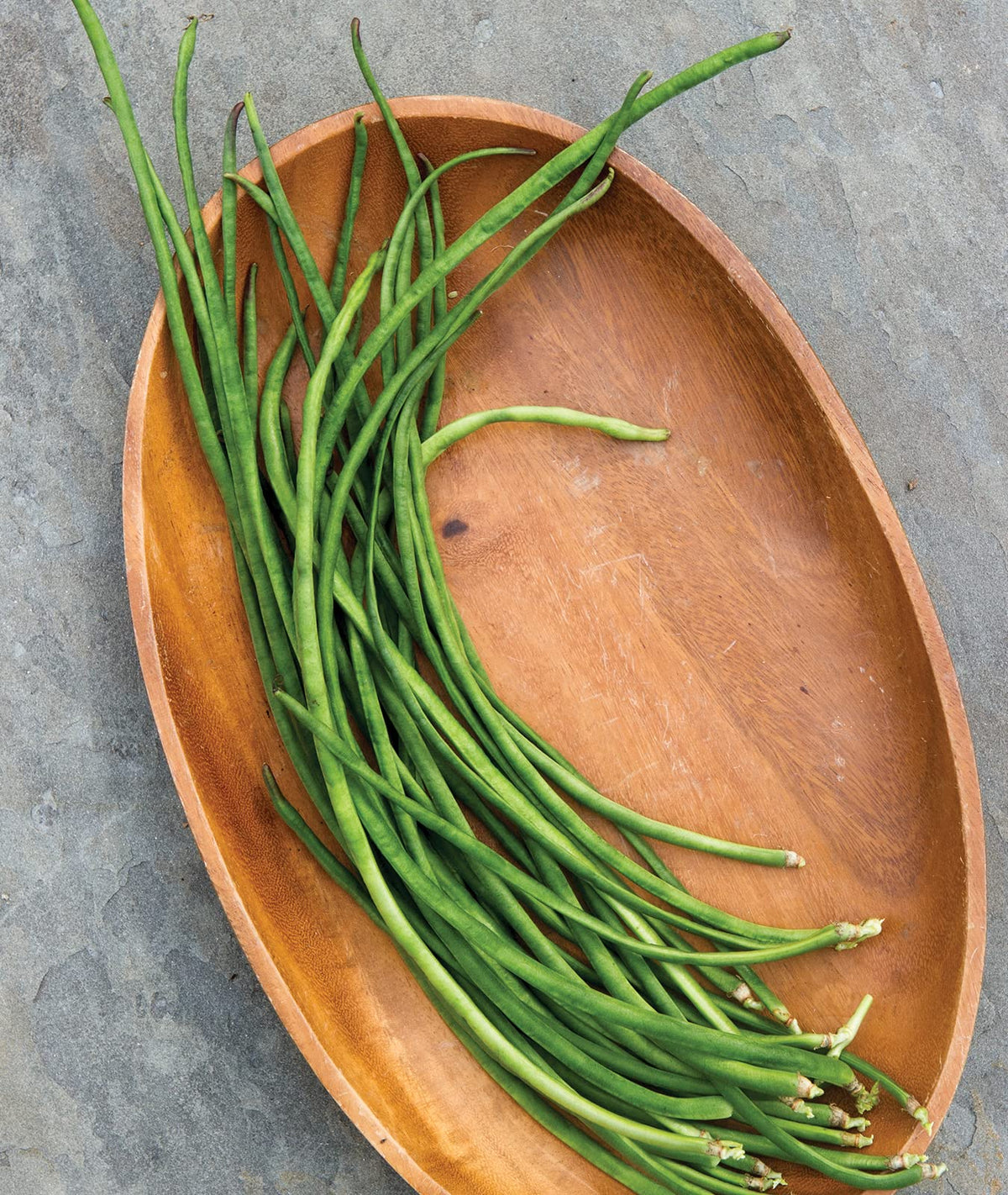 Burpee Yardlong asparagus pole beans pack ready to plant in a home garden for flavorful yields