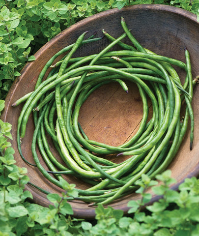 Burpee Yardlong seeds 1oz packet suitable for heirloom, vigorous vines in sunny gardens