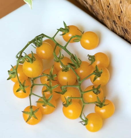 Burpee Yellow Currant fruit close-up shows juicy, sweet-tart flavor.