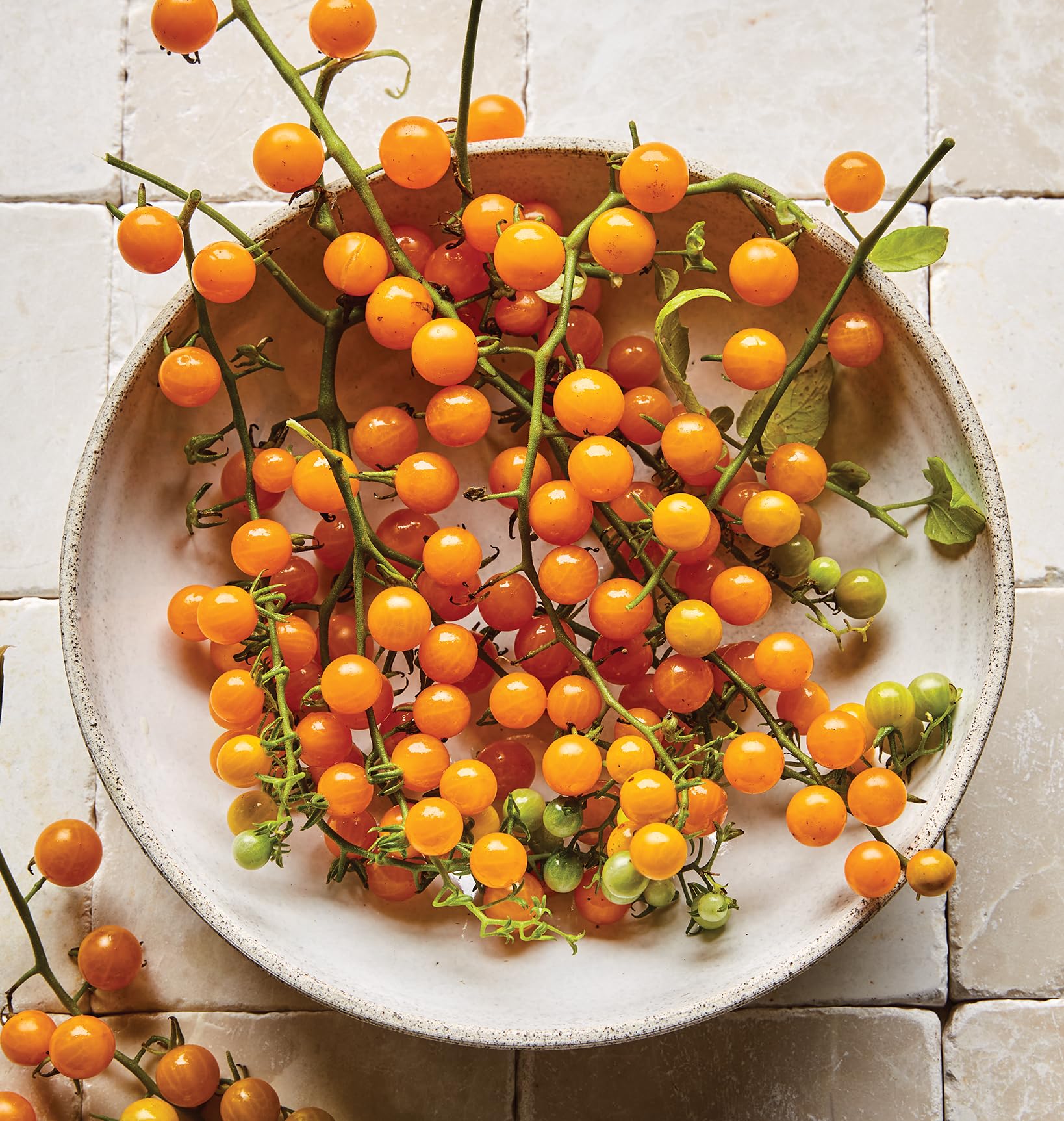 Burpee Yellow Currant seeds pack front view for home gardens, easy-to-grow tomato variety.
