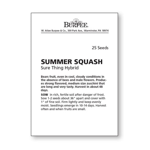 Burpee Sure Thing zucchini fruit on vine, long and tasty harvest-ready squash.
