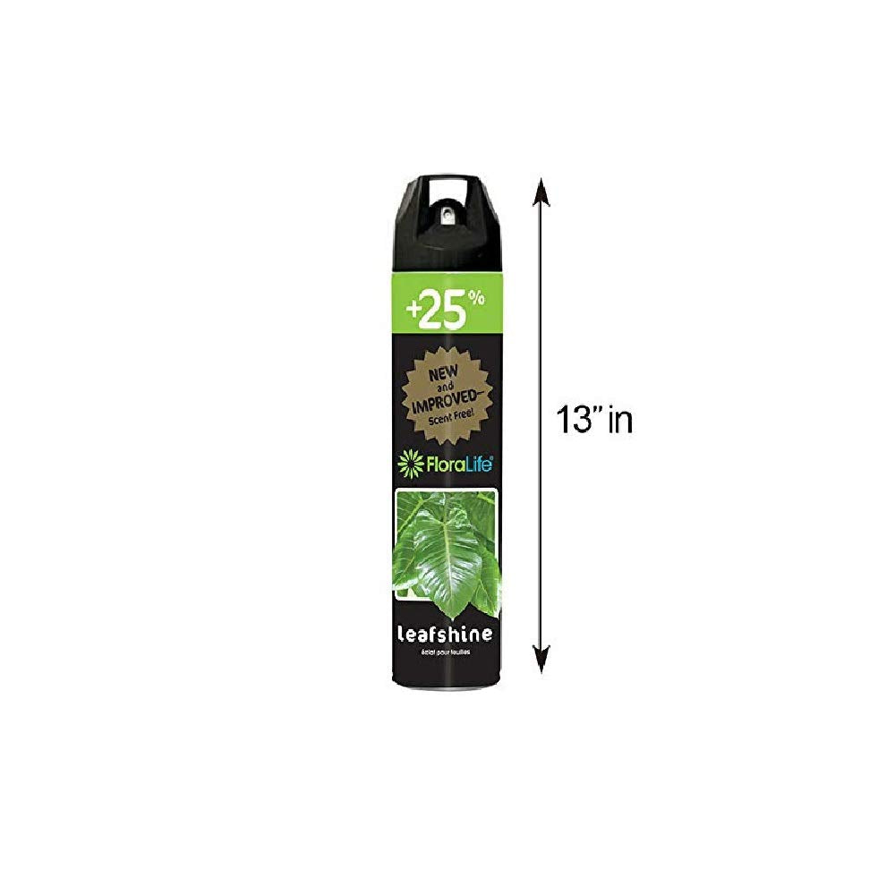 Burton Floralife Leafshine 750ml foliage-closeup highlights even coverage and gleam.