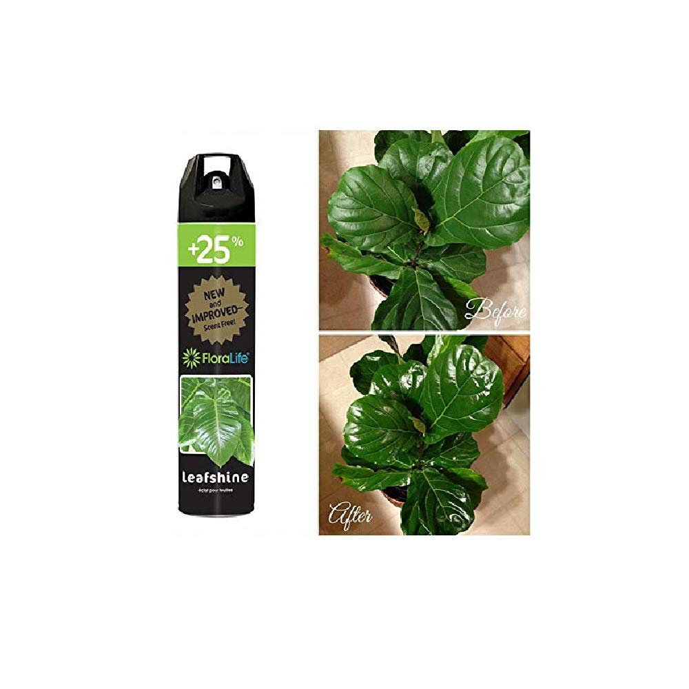 Burton Floralife Leafshine 750ml spray-action, convenient application for fresh foliage.