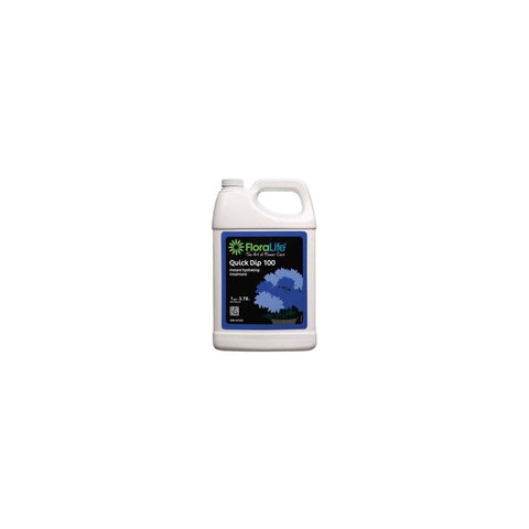 Burton Floralife Quick Dip 100 bottle pour improves hydration for floral stems