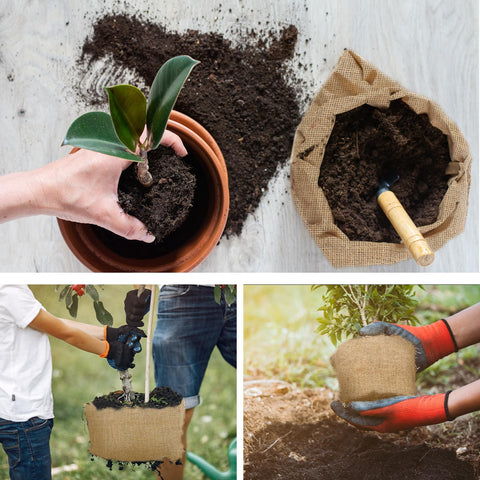 Buryeah burlap for pumpkins and autumn crafts