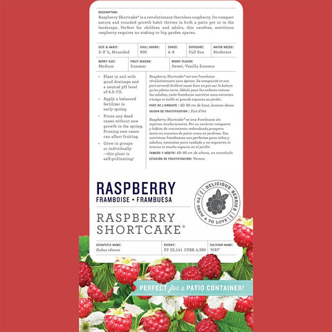 Flowers and fruit preview on Raspberry Shortcake for early-season harvest