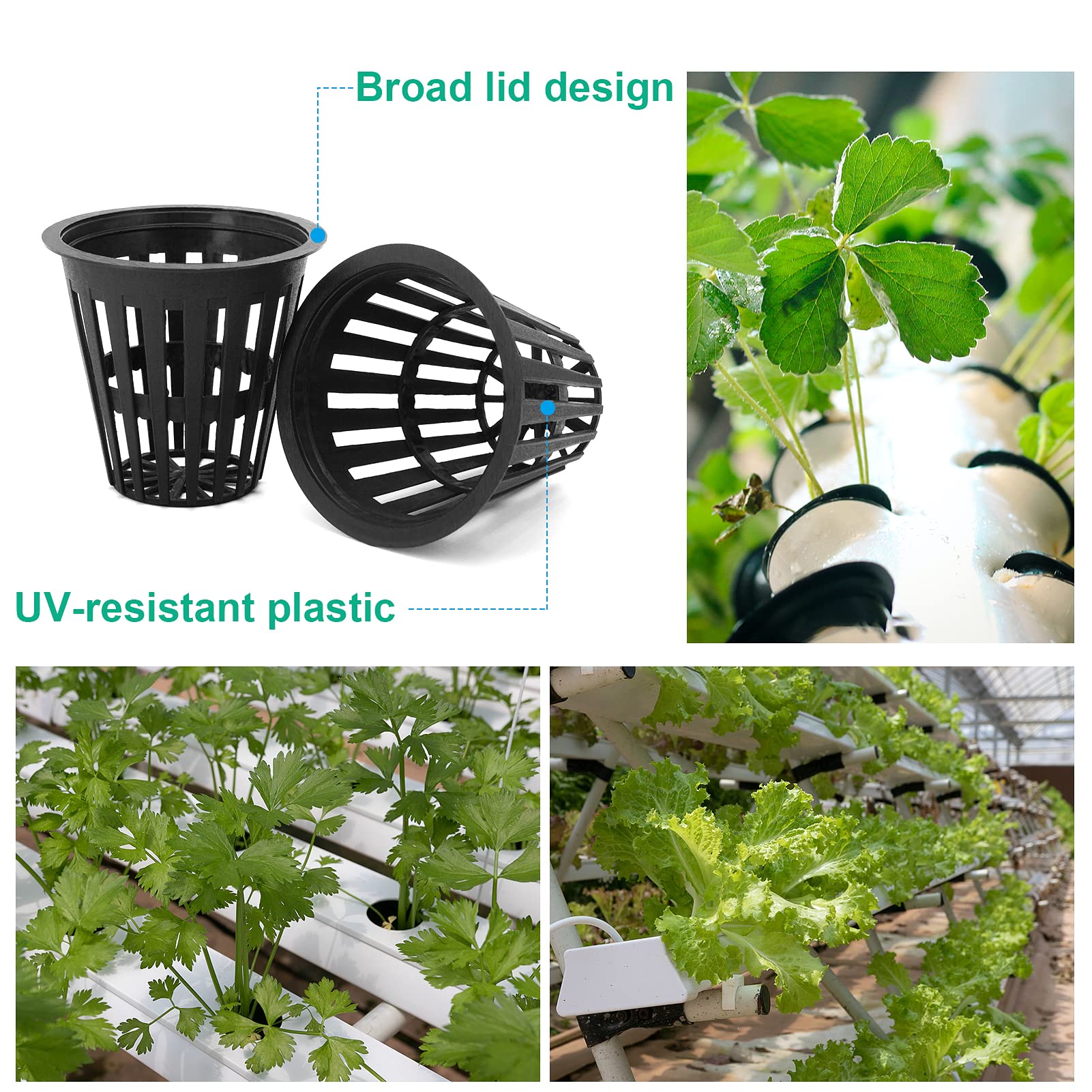Business King 2-inch net pot with labels included for easy plant tracking.