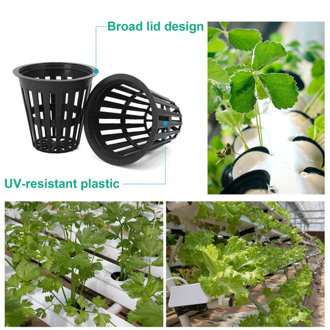 Business King 2-inch net pot with labels included for easy plant tracking.