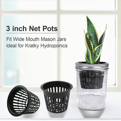 Business King hydroponic net pots with wide mouth improve root access.