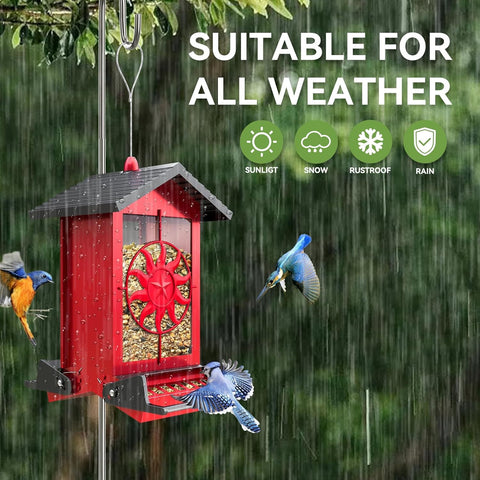 Buteafly 5lb capacity feeder with seed window visible for quick monitoring.