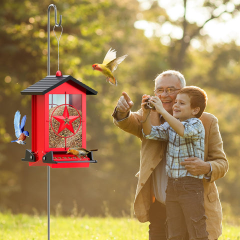 Buteafly clear seed window helps monitor levels and attract birds