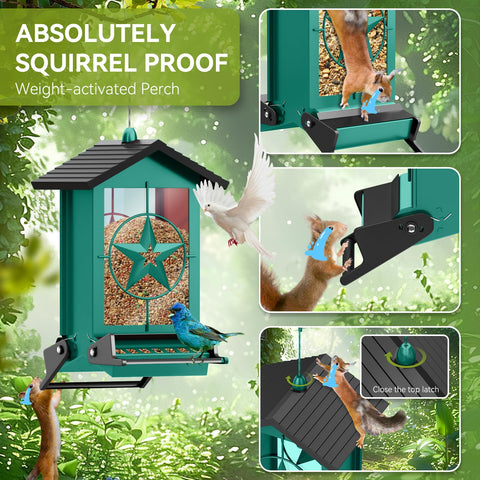 Locking lid and metal clasp protecting seed from squirrels