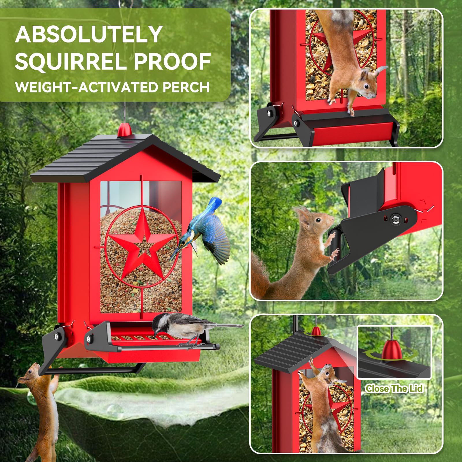 Buteafly close-up of dual weight-activated perches preventing squirrel feeding