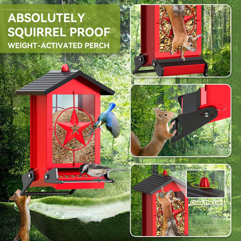 Buteafly close-up of dual weight-activated perches preventing squirrel feeding