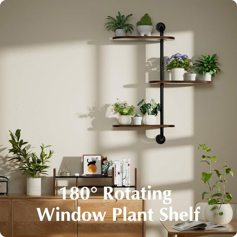 BUTUNITA corner hanging stand lets herbs and greens thrive in living rooms