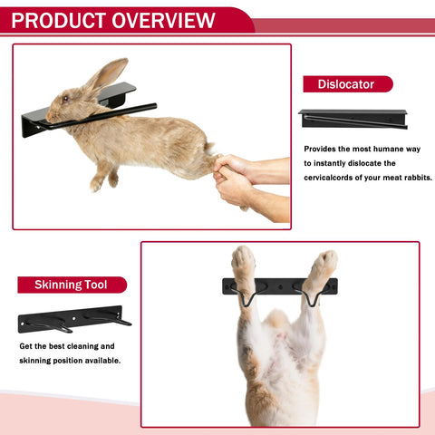 BUWZUJR all-in-one rabbit-processing-kit ready for streamlined workflow.