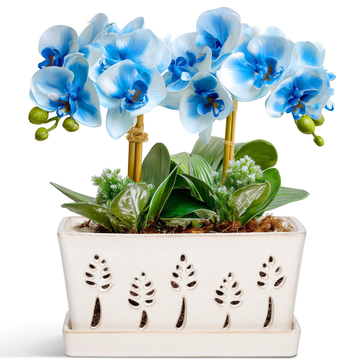 BUYMAX 10-inch rectangle orchid pot with holes for balanced root growth