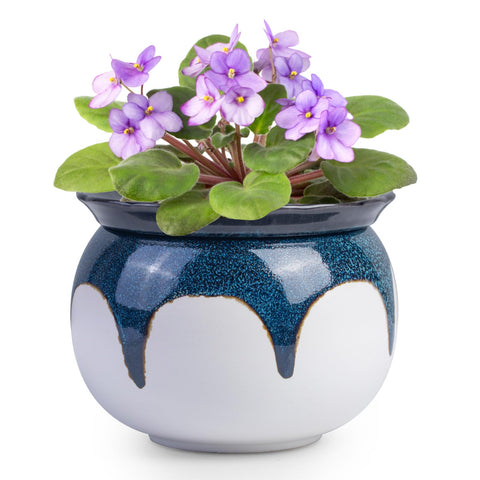 BuyMAX African Violet Pot self-watering dual-structure for easy care.