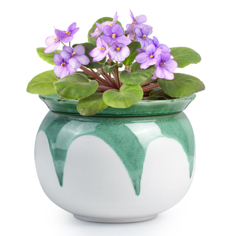 BUYMAX African Violet Pot self-watering outer pot showing convenient irrigation for busy homes