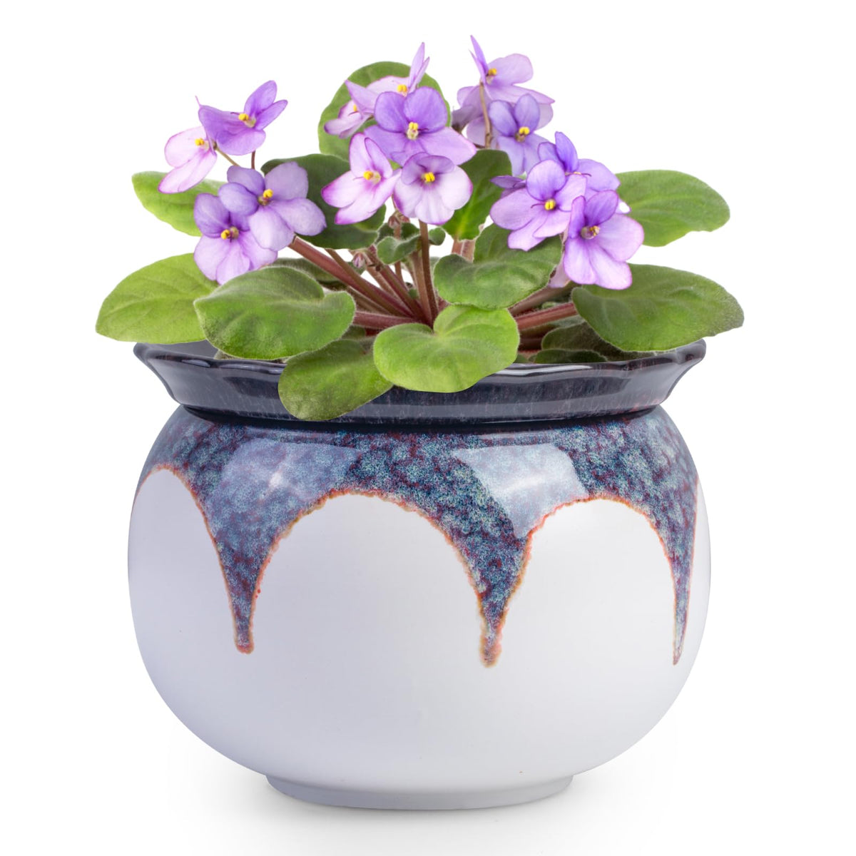 BUYMAX African Violet Pot with self-watering outer reservoir for easy plant care.