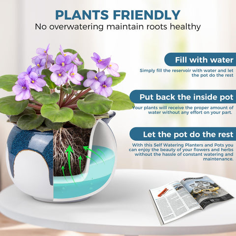BuyMAX ceramic self-watering pot showing dolomite clay outer with glaze.