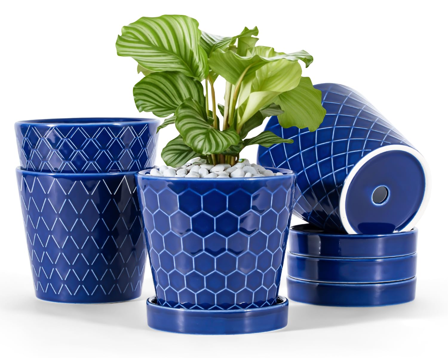 BUYMAX ceramic plant pot with 5-inch blue glaze, ideal for small herbs on a windowsill.